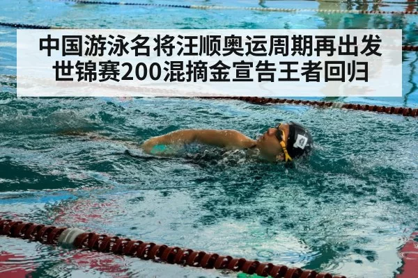 中国游泳名将汪顺奥运周期再出发 世锦赛200混摘金宣告王者回归